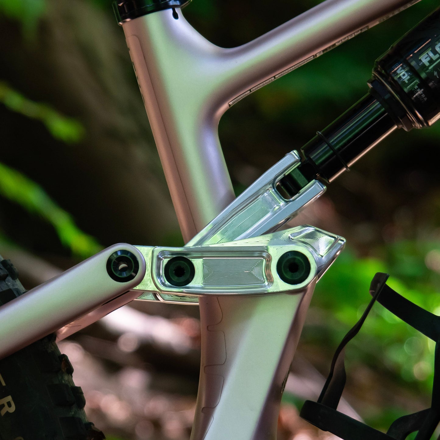 Turbo Levo Link, Gen 4 (2025-Current)