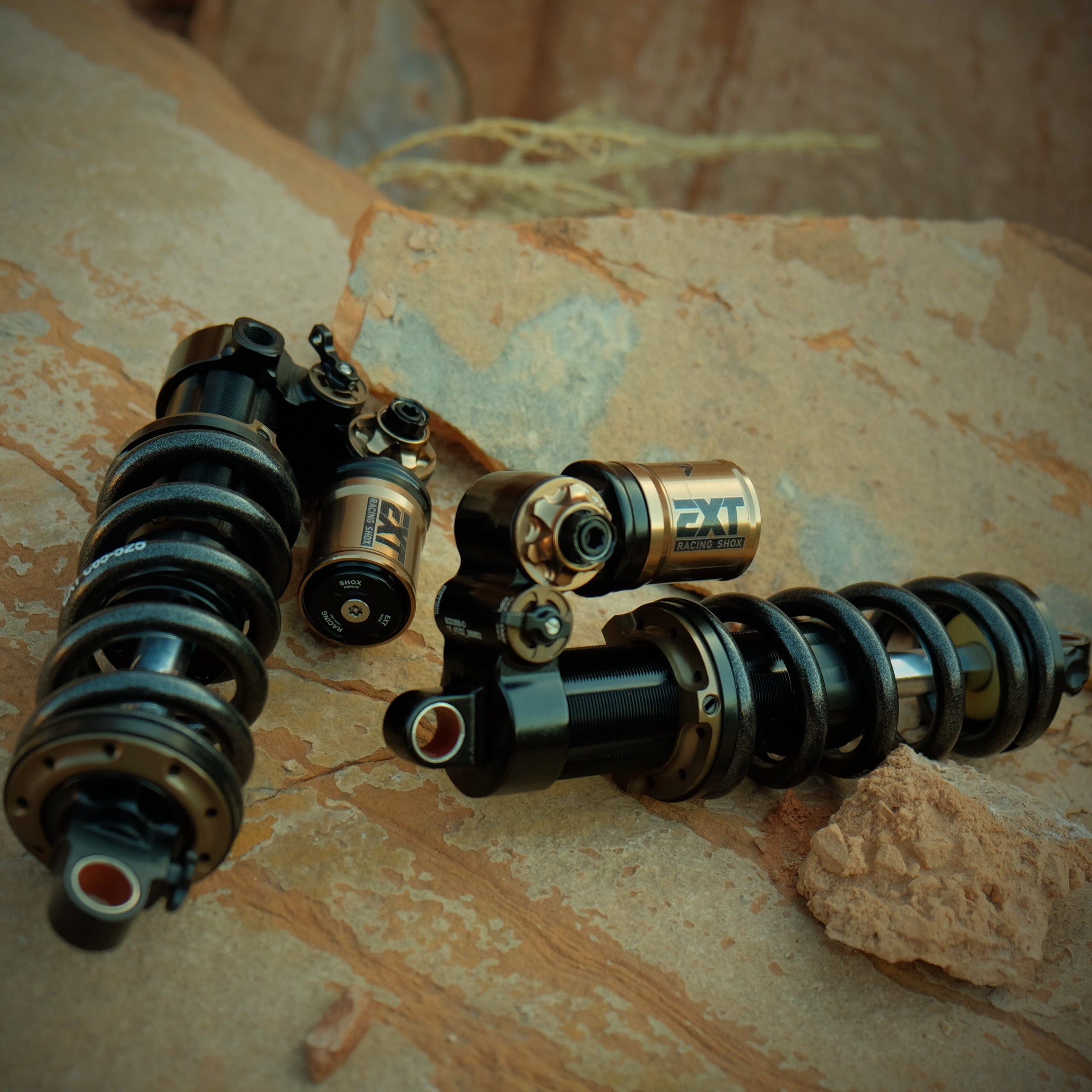 Excella Shocks EXT Vecta Shock Only – Cascade Components