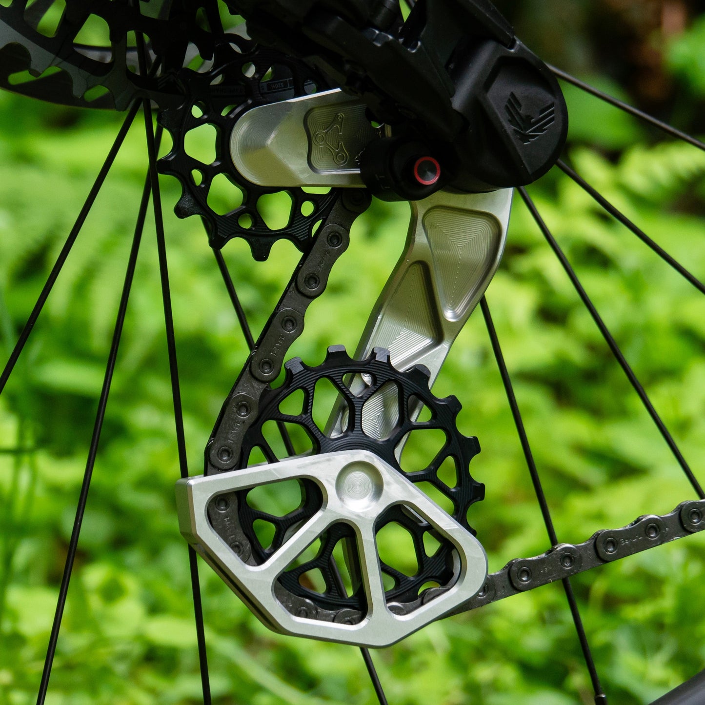 Transmission Derailleur Cage