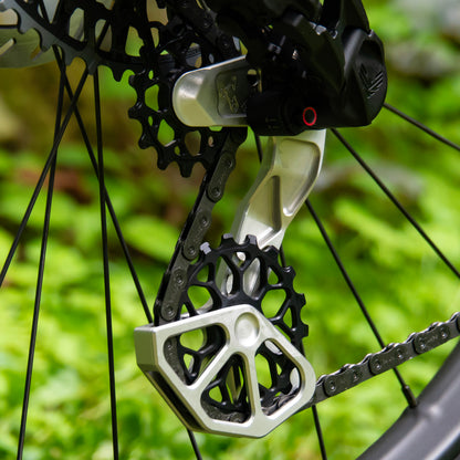 Transmission Derailleur Cage